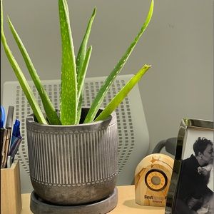 Meet your Posher, Eunice